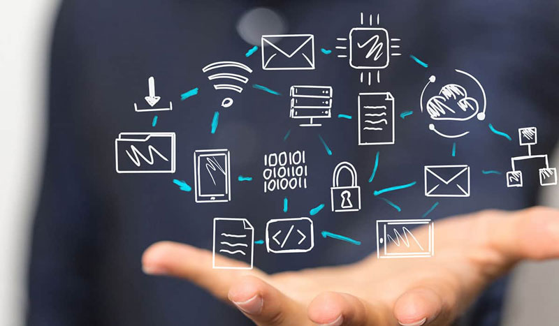 sự đa dạng và lừa chọn tại Mu88